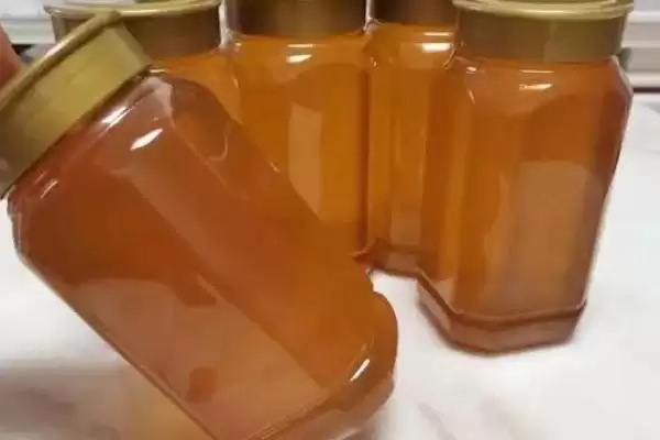 荔枝蜜介绍,质地粘稠、一般呈琥珀色插图3 荔枝蜜介绍,质地粘稠、一般呈琥珀色插图3