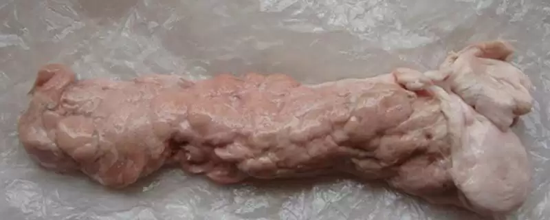 了解猪身上毛连的方法和重点？养猪要做好哪些猪体特征认知细节？-会东网