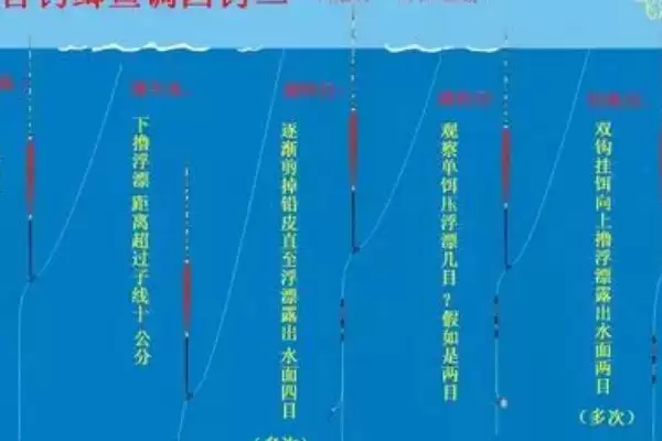 图片[4]-罗非鱼喜欢什么味型的饵料 ,罗非鱼偏好哪种饵料味型-会东网