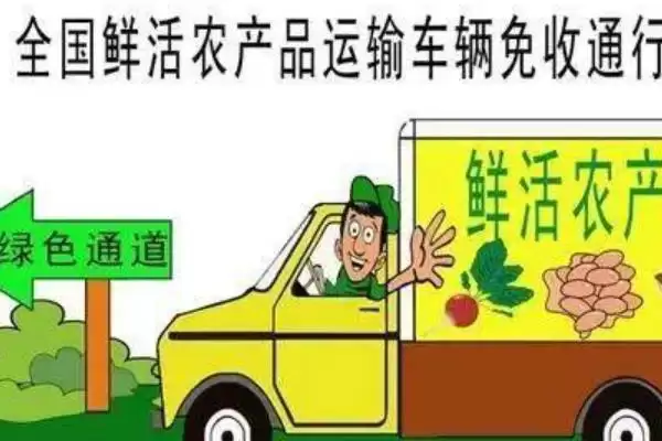 图片[8]-蔬菜卖不出去的情况下怎么办？应对蔬菜滞销要采取哪些有效的解决办法？-会东网