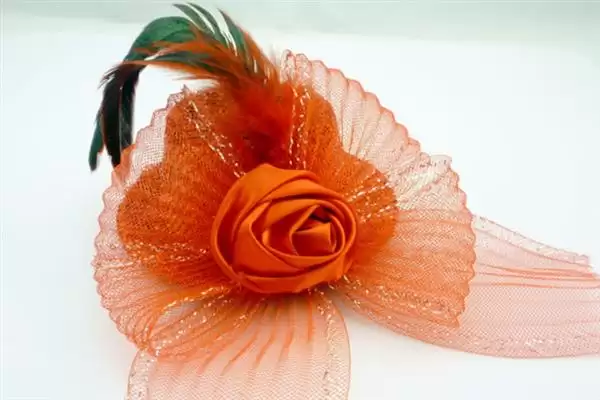 了解小鸡长羽毛时间节点的方法和重点？养鸡要做好哪些生长发育监测？插图5