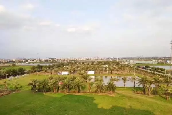 规划 50 亩农场的方法和重点?养猪要做好哪些规划细节?插图1 规划 50 亩农场的方法和重点?养猪要做好哪些规划细节?插图1