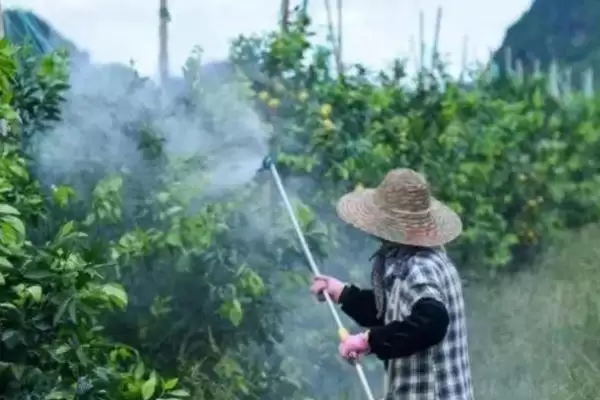图片[3]-适合做叶面肥的肥料？挑选适合做叶面肥的肥料要了解哪些肥效特性？-会东网