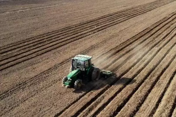 辣椒的种植技术 ,辣椒在哪些月份适合播种呢?插图2 辣椒的种植技术 ,辣椒在哪些月份适合播种呢?插图2