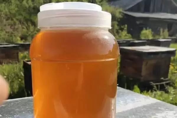 纯蜂蜜的保质期,一般会标注成2年或18个月插图5 纯蜂蜜的保质期,一般会标注成2年或18个月插图5