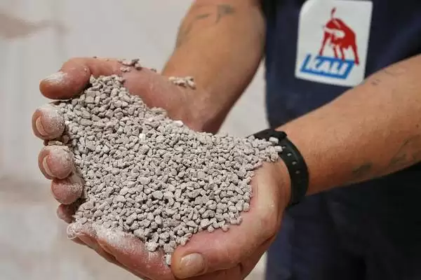 兰花的种植方法 ,兰花种植前为何要处理根系?插图4 兰花的种植方法 ,兰花种植前为何要处理根系?插图4