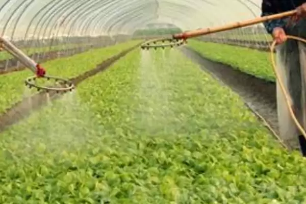 防治病虫害的适宜适期，害虫幼龄期、危险生育期、天敌敏感期适合用药插图11