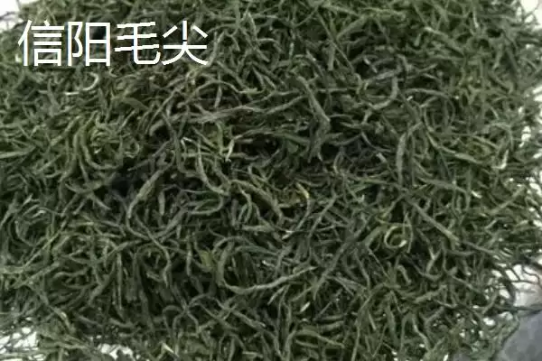 图片[9]-认识中国十种名茶的方法和重点？认识中国十种名茶要做好哪些细节？-会东网