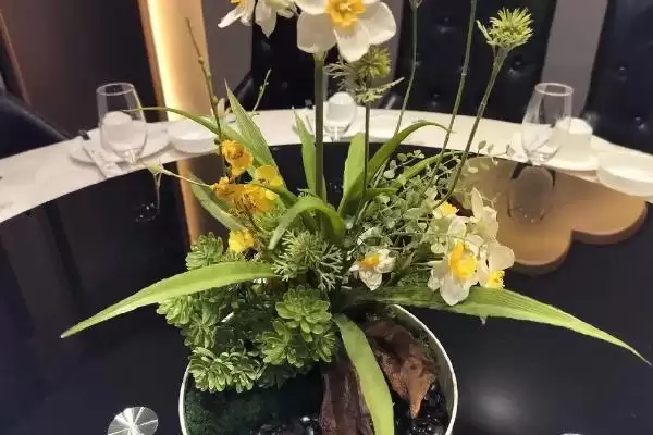 水仙花怎么养？养殖水仙花要掌握哪些关键的养护方法和管理要点？插图2