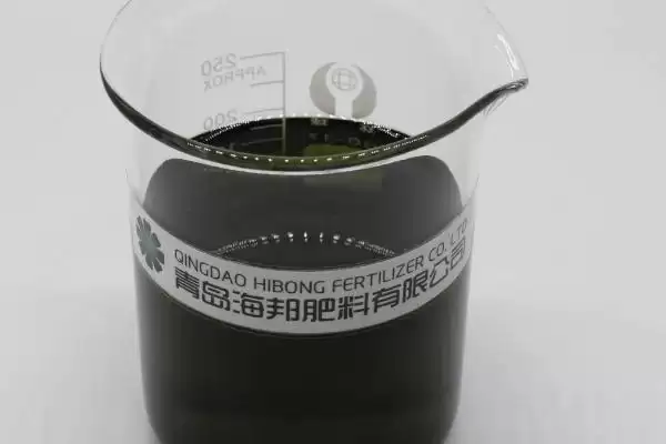 图片[3]-选购高质量海藻肥的方法和重点？选购高质量海藻肥要做好哪些细节？-会东网