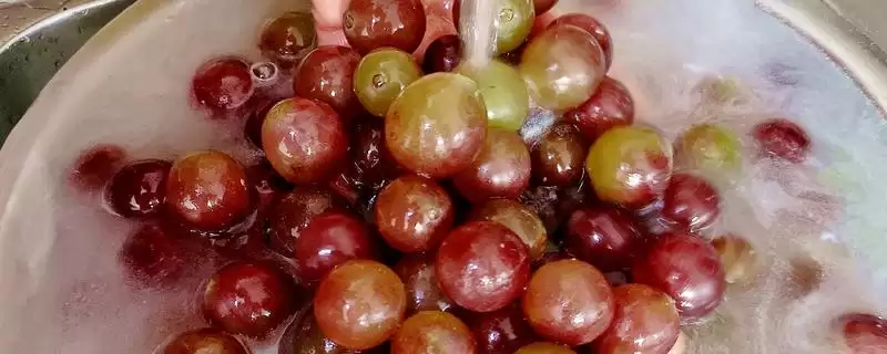 葡萄清洗秘籍：小苏打加食盐清洗的科学方法-会东网