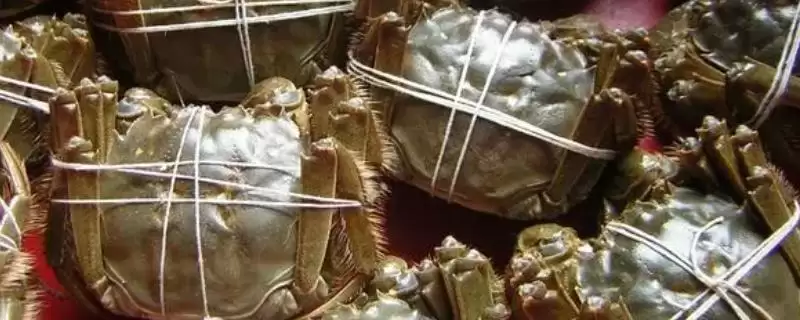 螃蟹价格的波动因素：不同品种价格不同的背后原因-会东网