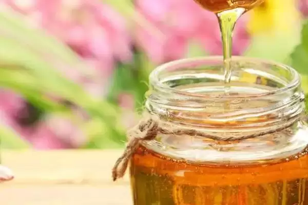 图片[3]-蜂巢蜜好还是蜂蜜好，各有千秋很难比较-会东网
