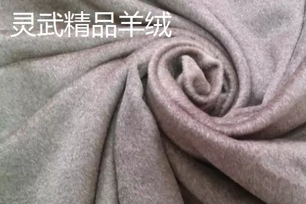 图片[7]-宁夏特产明星：灵武长枣成为中国国家地理标志产品的传奇-会东网