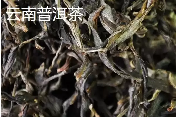 图片[7]-认识中国十种名茶的方法和重点？认识中国十种名茶要做好哪些细节？-会东网