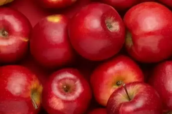 好吃的十大苹果品种,口感和甜度均不同插图4 好吃的十大苹果品种,口感和甜度均不同插图4