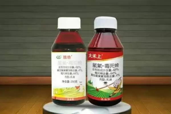 甜瓜叶枯病用药方法的方法和重点?甜瓜叶枯病用药要做好哪些细节?插图2 甜瓜叶枯病用药方法的方法和重点?甜瓜叶枯病用药要做好哪些细节?插图2