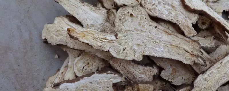 种植白术的风险和应对？种植白术需关注哪些潜在问题？-会东网