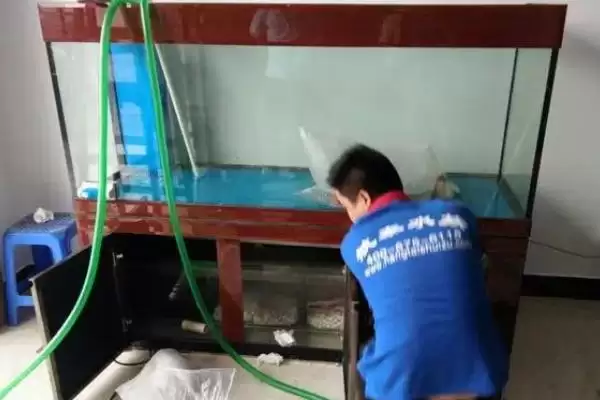 图片[2]-旧鱼缸的清洗方法 ,清洗旧鱼缸需要先做什么准备呢？-会东网