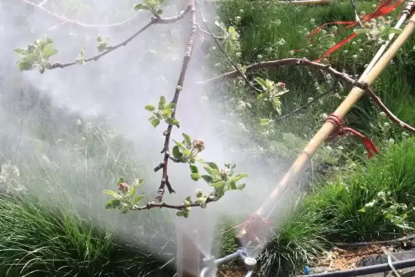 苹果树农药全年配方表，不同季节的使用不同的农药插图4