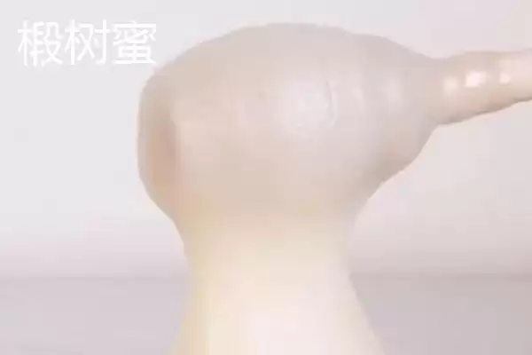 图片[2]-椴树蜜和槐花蜜哪个好，后者口感和色泽都要更好-会东网