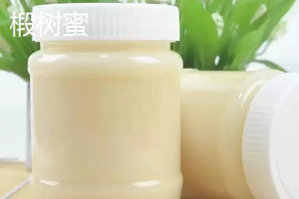 洋槐蜜与椴树蜜哪个更好,洋槐蜜的口感和色泽略优插图2 洋槐蜜与椴树蜜哪个更好,洋槐蜜的口感和色泽略优插图2