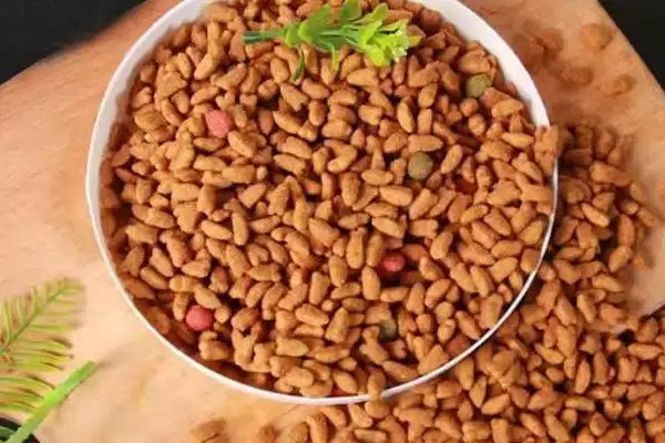 猫咪得了黑下巴该怎么治疗 ,猫咪黑下巴需注重日常清洁插图2