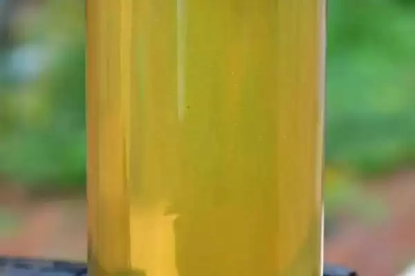 图片[4]-苜蓿蜜是什么蜜，采集紫花苜蓿花蜜酿制成的-会东网