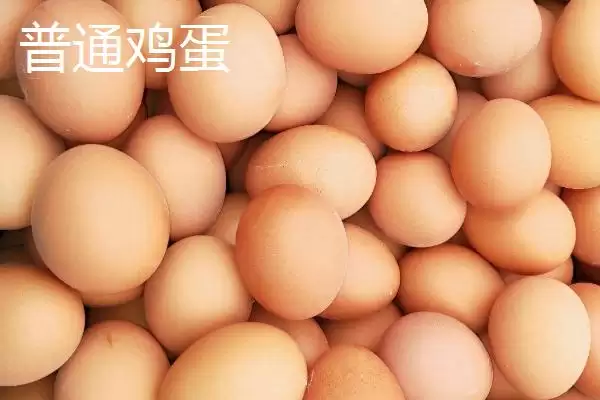 知悉土鸡蛋价格走向的方法和重点？养鸡要做好哪些市场价格把控？插图2