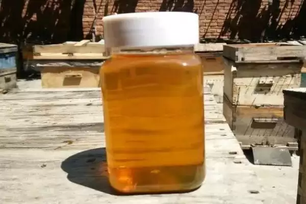 图片[5]-天然荆条蜜的价格，一斤通常超过40元-会东网