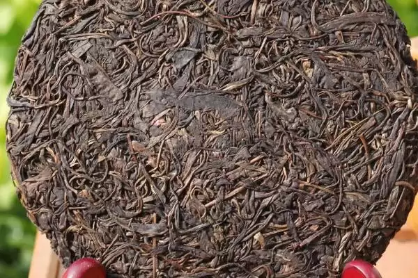 图片[4]-普洱茶年份的奥秘：原料优质年份越久越好的原因-会东网