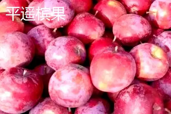 图片[5]-山西晋中市的特产，是国家级文化生态保护实验区-会东网