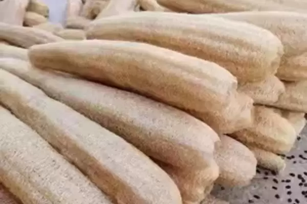 种植丝瓜的方法和重点？种丝瓜要做好哪些细节？(2)插图6