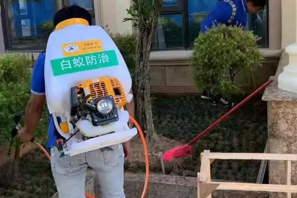图片[2]-彻底消灭白蚁的方法和重点？彻底消灭白蚁要做好哪些细节？-会东网