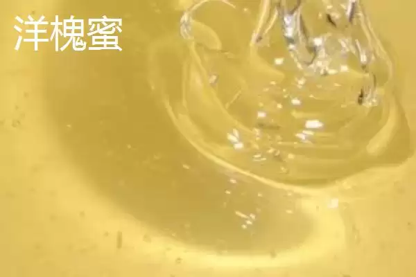图片[2]-洋槐蜜好还是荆花蜜好，洋槐蜜价格更高-会东网