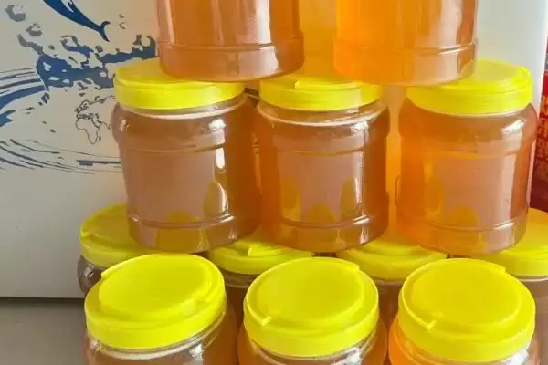 图片[2]-正宗洋槐蜜的特征，通常呈透明的水白色-会东网