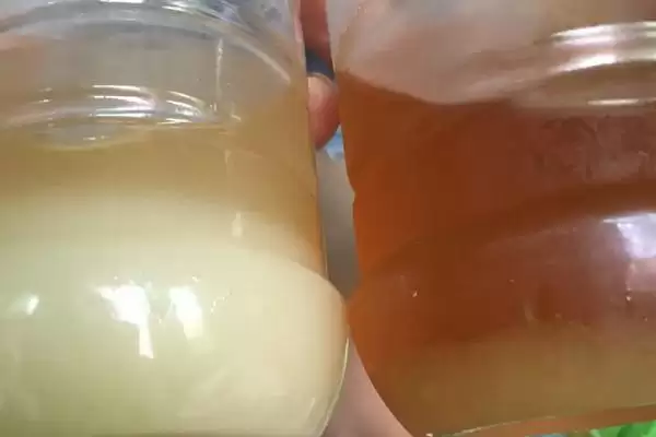 图片[3]-蜂蜜结晶是不是假蜂蜜，蜜种不同结晶程度不同-会东网