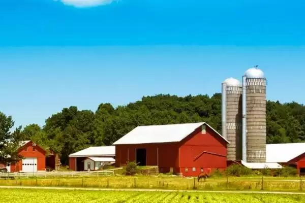 注册家庭农场条件及办理方法和重点？养猪要做好哪些农场开办细节？插图1