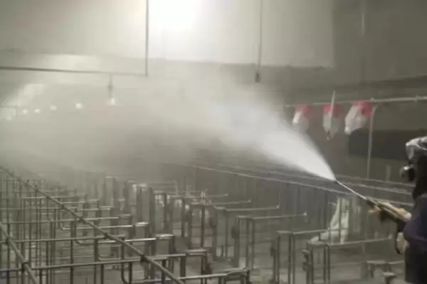 了解猪舍消毒后多久进猪的方法和重点?养猪要做好哪些消毒管理细节?插图1 了解猪舍消毒后多久进猪的方法和重点?养猪要做好哪些消毒管理细节?插图1