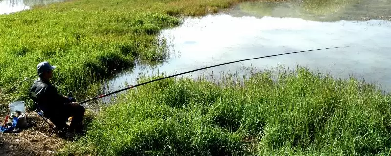 竞技竿和黑坑竿的区别 ,竞技竿与黑坑竿在哪些方面不同插图 竞技竿和黑坑竿的区别 ,竞技竿与黑坑竿在哪些方面不同插图