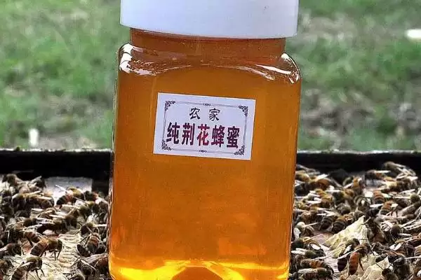 图片[2]-桐花蜜简介，蜜源包括玄参科泡桐、大戟科油桐等-会东网