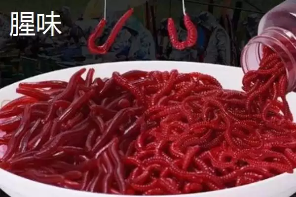 图片[2]-天气冷鲤鱼吃什么味型的饵料，首选蚯蚓、天下鲤等-会东网