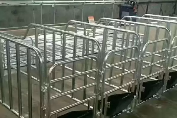 母猪定位栏要如何进行安装呢,安装母猪定位栏先设定好走道距离插图2 母猪定位栏要如何进行安装呢,安装母猪定位栏先设定好走道距离插图2