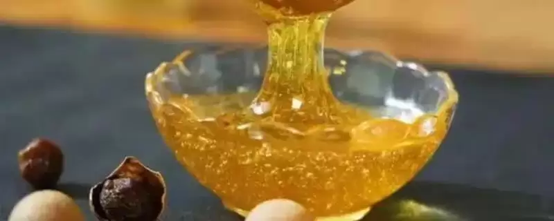 龙眼蜜和百花蜜的区别,蜜源、营养、外观和口感均不同-会东网