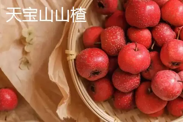 山东临沂市的特色水果,包括蒙阴蜜桃、大店草莓、蒙阴苹果等品种插图8 山东临沂市的特色水果,包括蒙阴蜜桃、大店草莓、蒙阴苹果等品种插图8