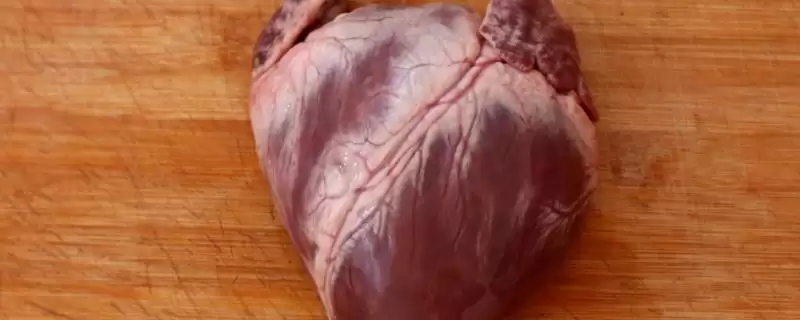 认识猪内脏的方法和重点?养猪要做好哪些猪体结构了解细节?-会东网