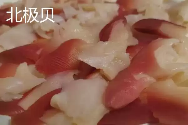 图片[5]-可食用贝类海鲜大盘点：蚬子、蛏子、北极贝等你品尝-会东网