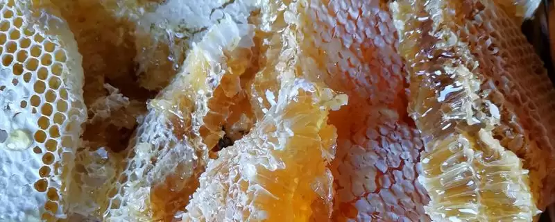 蜂蜜怎么喝,饭后可冲泡蜂蜜水-会东网