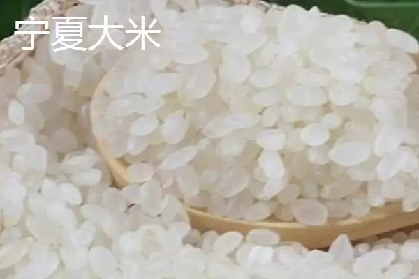 图片[8]-宁夏特产明星：灵武长枣成为中国国家地理标志产品的传奇-会东网