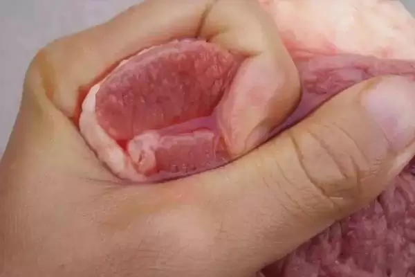 了解注胶猪肉的方法和重点?养猪与食品安全有哪些关联细节?插图1 了解注胶猪肉的方法和重点?养猪与食品安全有哪些关联细节?插图1